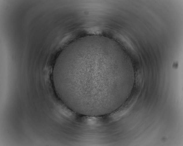 X0000101150229200807111013