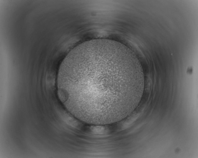 X0000101150230200807111013