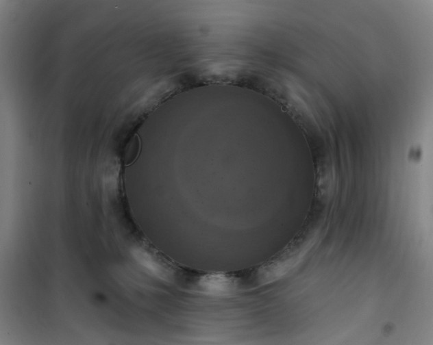 X0000101150231200807111013