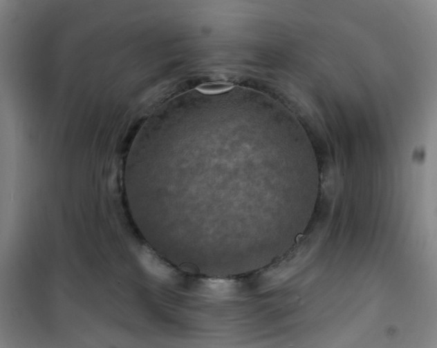 X0000101150233200807111013