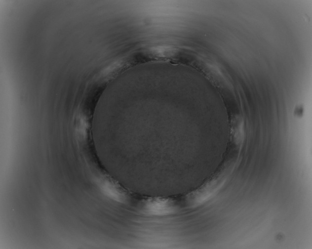 X0000101150235200807111013