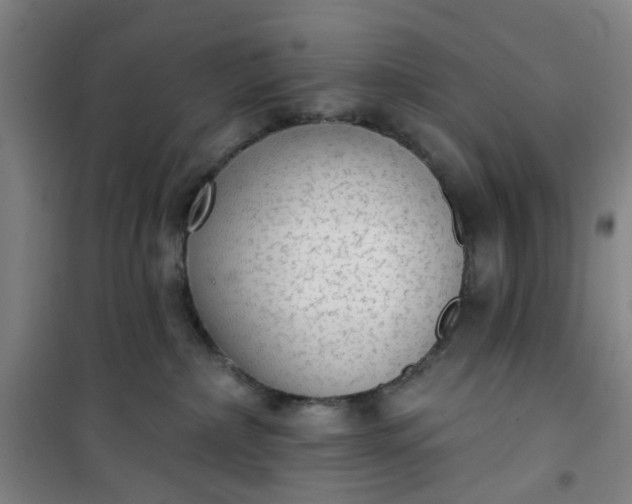 X0000101150236200807111013