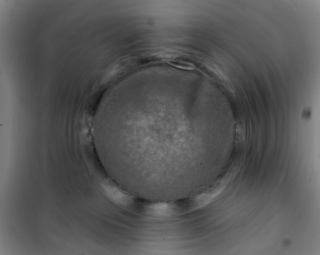 X0000101150237200807111013