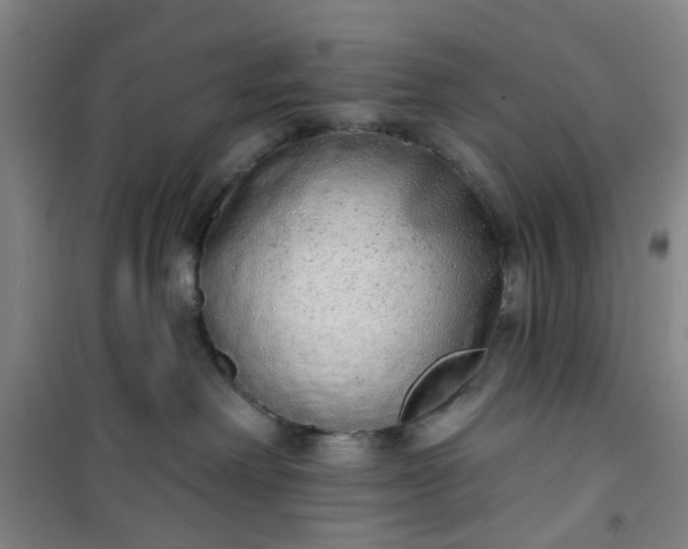 X0000101150238200807111013