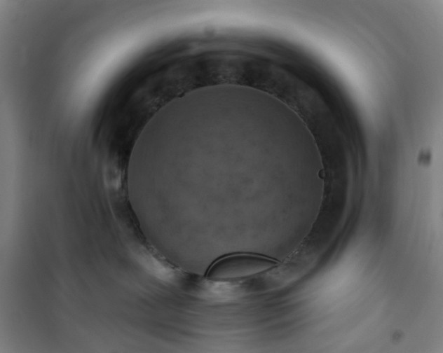 X0000101150239200807111013