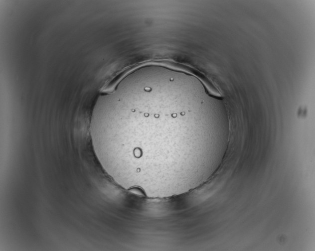 X0000101150240200807111013