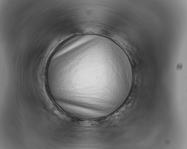 X0000101150241200807111012