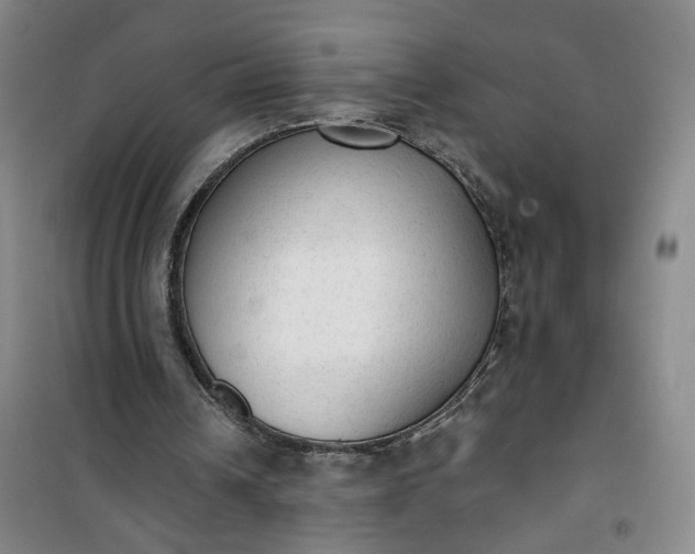 X0000101150242200807111012