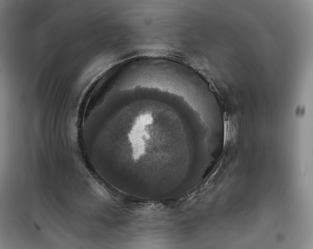 X0000101150243200807111012