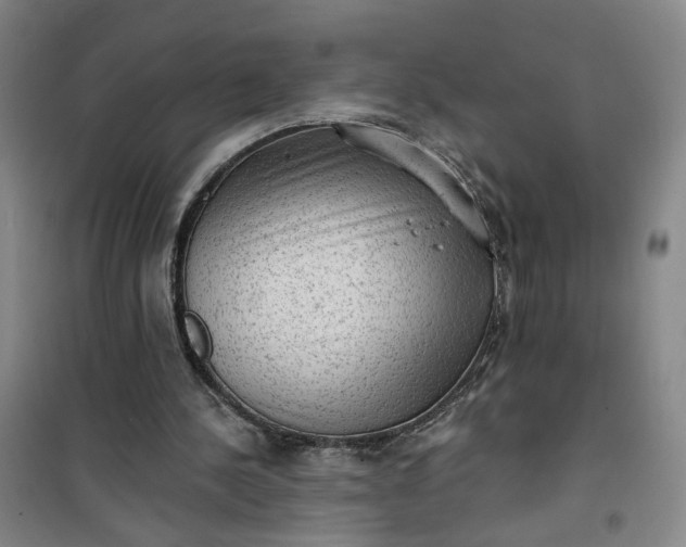 X0000101150244200807111012