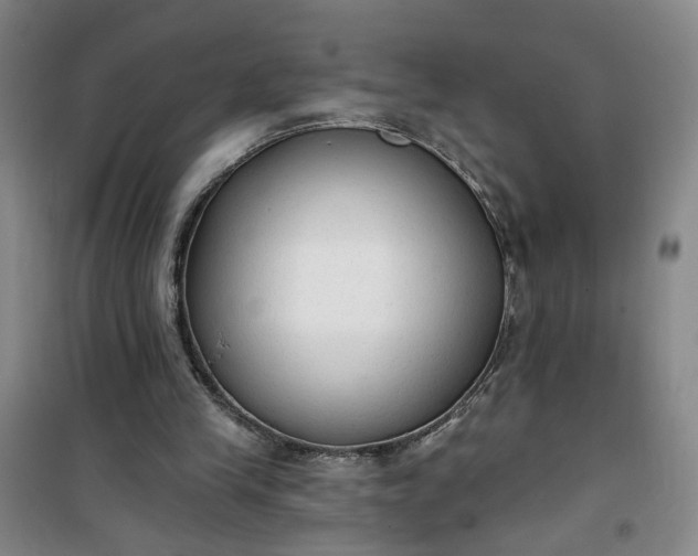 X0000101150245200807111012