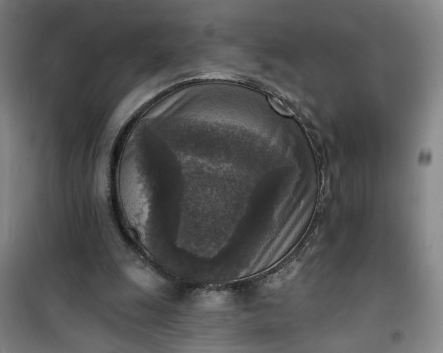 X0000101150247200807111012