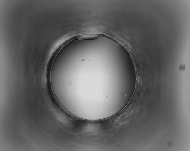 X0000101150248200807111012