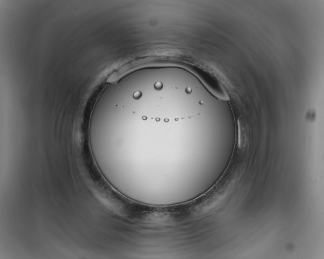 X0000101150252200807111012