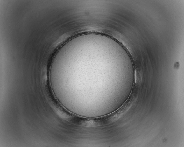 X0000101150253200807111012