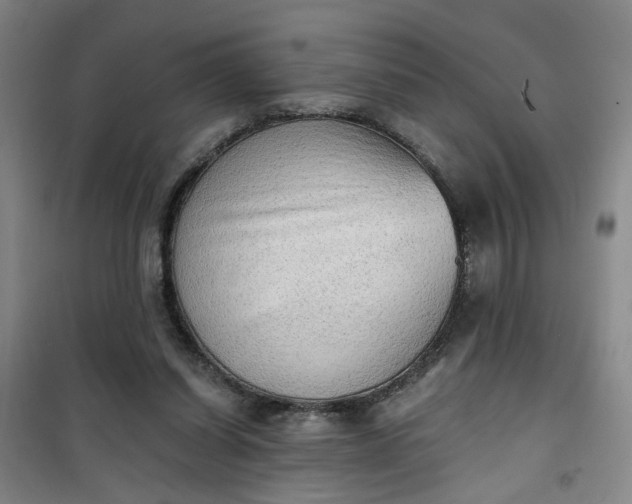 X0000101150254200807111012