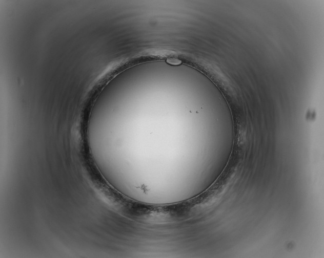 X0000101150256200807111012