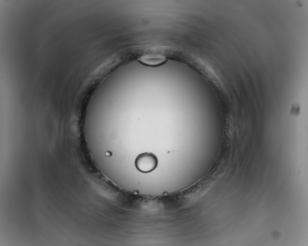 X0000101150258200807111012