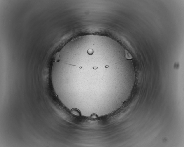 X0000101150260200807111012