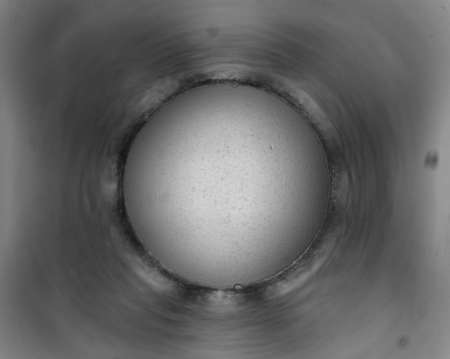 X0000101150261200807111012