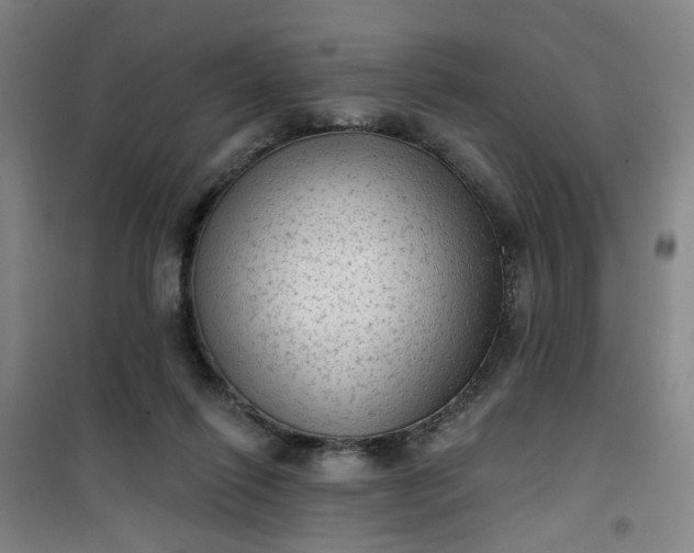 X0000101150262200807111012