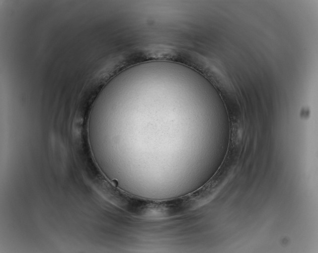 X0000101150263200807111012