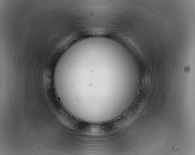 X0000101150264200807111012