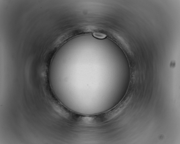 X0000101150265200807111012