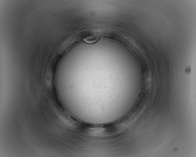 X0000101150266200807111012