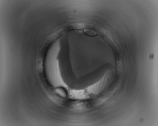 X0000101150267200807111012