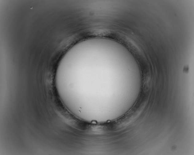 X0000101150268200807111012