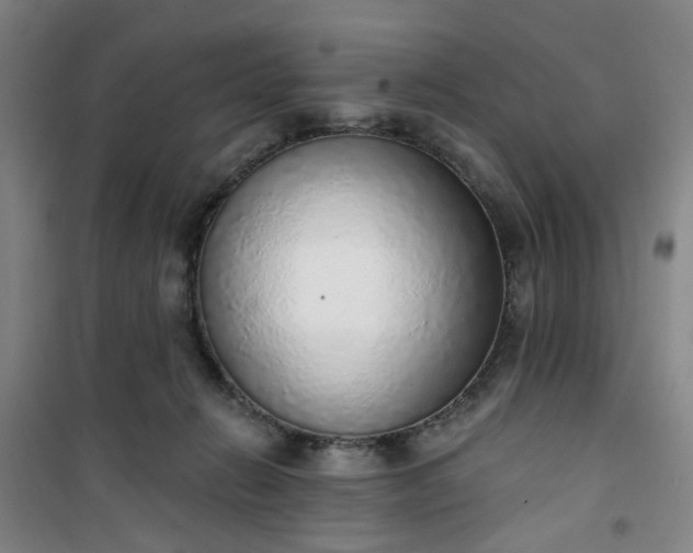 X0000101150270200807111012