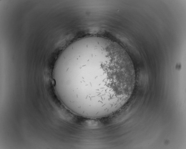 X0000101150272200807111012