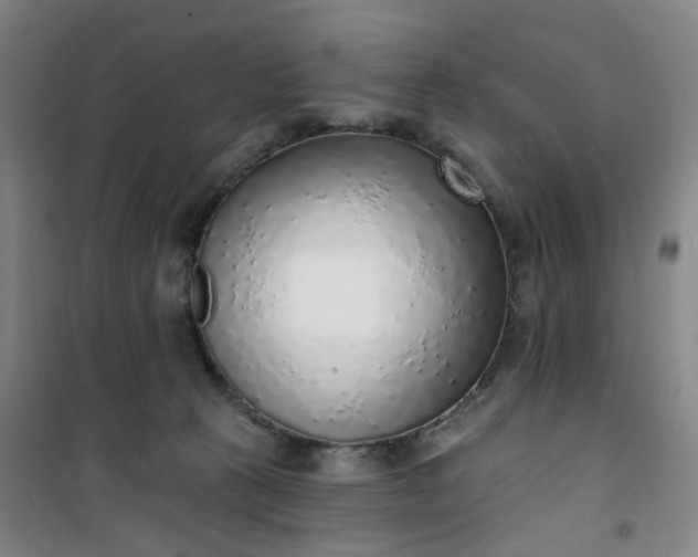 X0000101150273200807111012