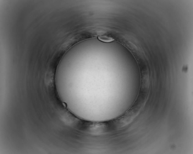 X0000101150274200807111012