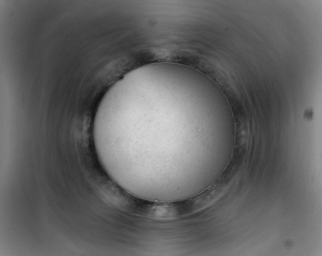 X0000101150275200807111012