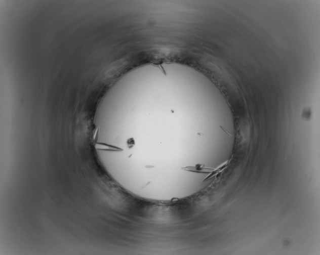 X0000101150276200807111012