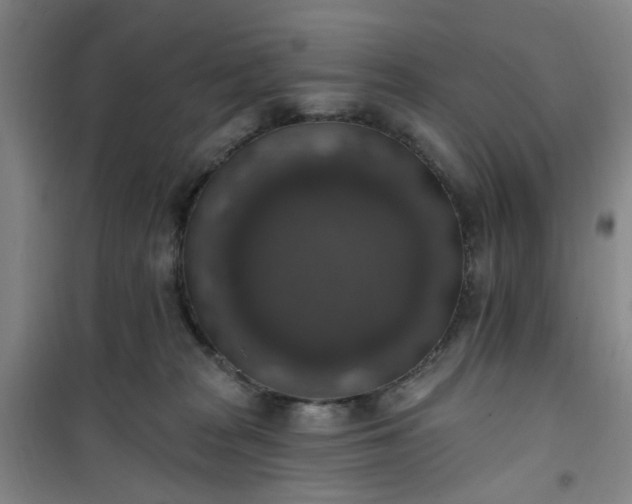 X0000101150277200807111012