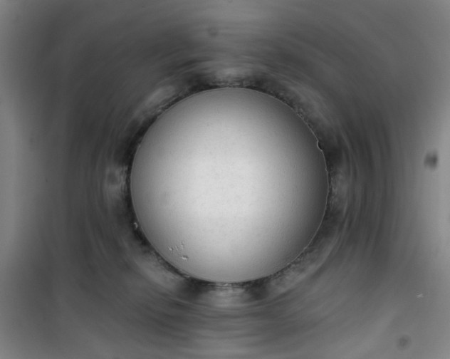 X0000101150278200807111012