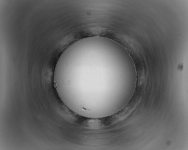 X0000101150279200807111012