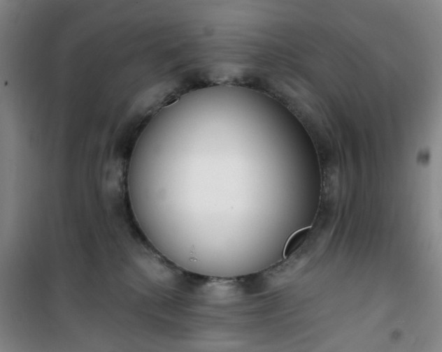 X0000101150280200807111012