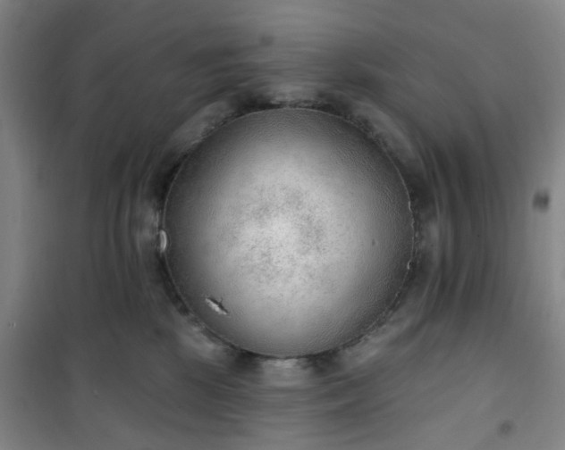 X0000101150281200807111012