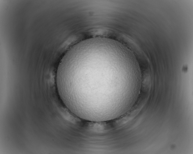 X0000101150282200807111012