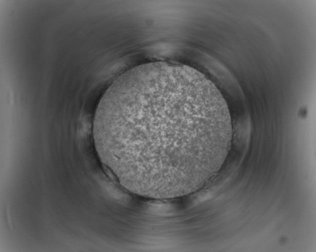 X0000101150284200807111012