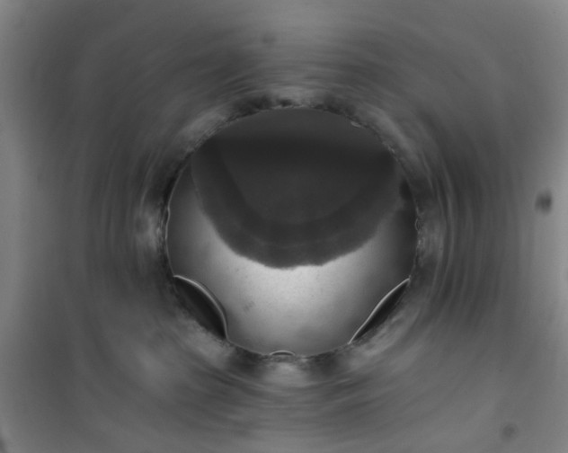 X0000101150285200807111012