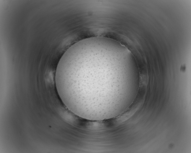 X0000101150286200807111012