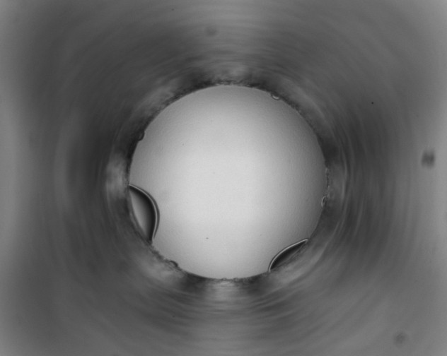 X0000101150287200807111012