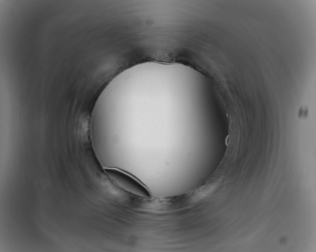 X0000101150288200807111012