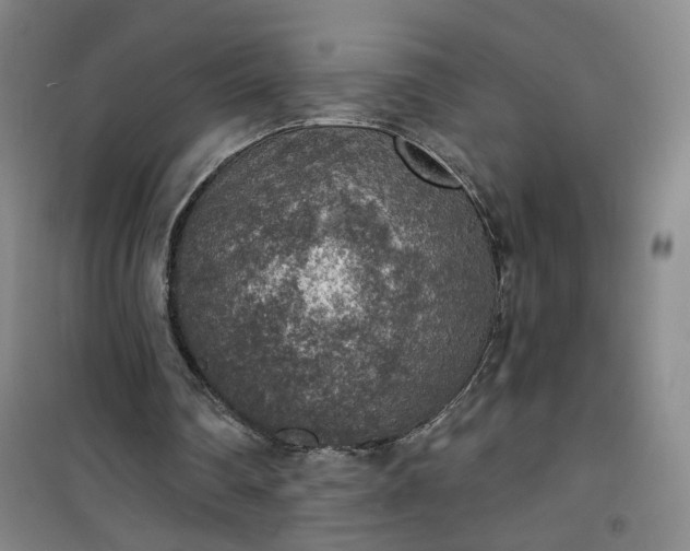 X0000101150290200807111012