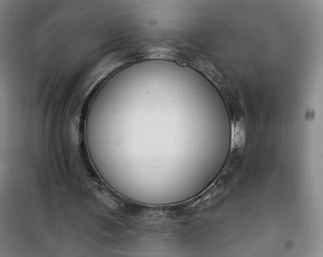 X0000101150291200807111012